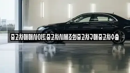 경기 용인시 기흥구 서천동 중고차매매 전문 중고차매매사이트중고차시세조회중고차구매중고차수출