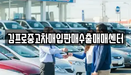 경기 용인시 기흥구 서천동 중고차매입 전문 김프로중고차매입판매수출매매센터