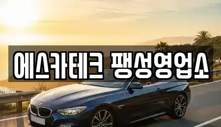 경기 평택시 죽백동 렌트카 전문 에스카테크 팽성영업소