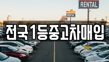 경기 평택시 죽백동 중고차매입 전문 전국1등중고차매입