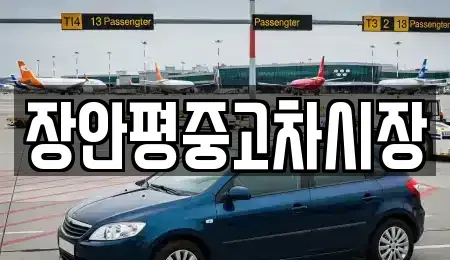 경기 포천시 가산면 중고차 전문 장안평중고차시장
