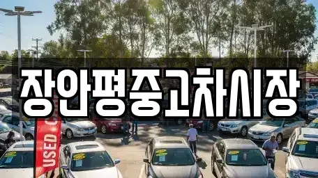 경기 하남시 감일동 중고차 전문 장안평중고차시장