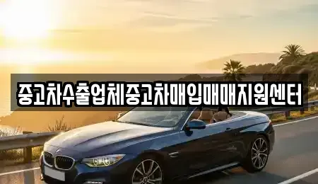 경기 하남시 감일동 중고차 전문 중고차수출업체중고차매입매매지원센터