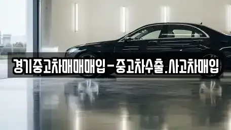 경기 하남시 감일동 중고차매입 전문 경기중고차매매매입-중고차수출.사고차매입
