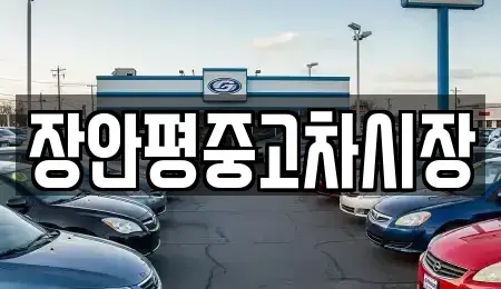 경기 하남시 학암동 중고차매매 전문 장안평중고차시장
