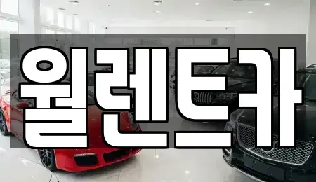 경기 화성시 오산동 렌트카 전문 월렌트카