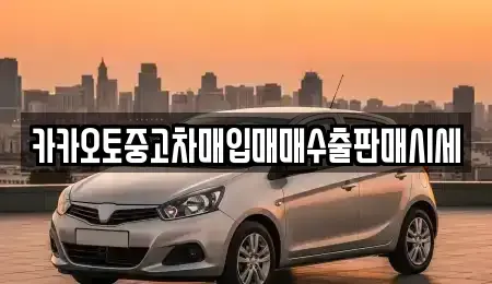 경기 화성시 오산동 중고차매입 전문 카카오토중고차매입매매수출판매시세