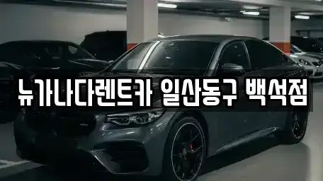 경기도 고양시 단기렌트카 전문 뉴가나다렌트카 일산동구 백석점