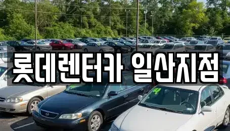 경기도 고양시 단기렌트카 전문 롯데렌터카 일산지점