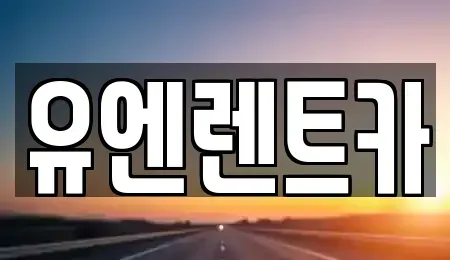 경기도 고양시 일산동구 식사동 렌트카 전문 유엔렌트카