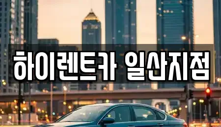 경기도 고양시 일산동구 식사동 렌트카 전문 하이렌트카 일산지점
