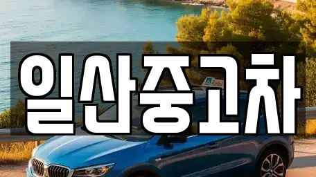 경기도 고양시 일산동구 식사동 중고차 전문 일산중고차