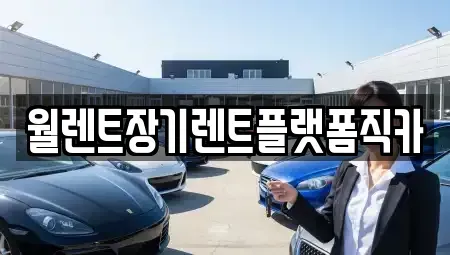 경기도 고양시 장기렌트카 전문 월렌트장기렌트플랫폼직카