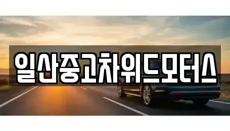 경기도 고양시 중고차 전문 일산중고차위드모터스