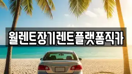 경기도 광주시 탄벌동 렌트카 전문 월렌트장기렌트플랫폼직카