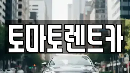 경기도 광주시 탄벌동 렌트카 전문 토마토렌트카