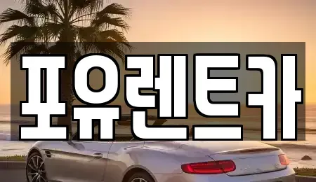 경기도 광주시 탄벌동 렌트카 전문 포유렌트카