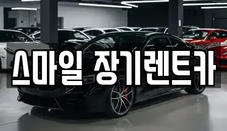 경기도 광주시 탄벌동 장기렌트카 전문 스마일 장기렌트카