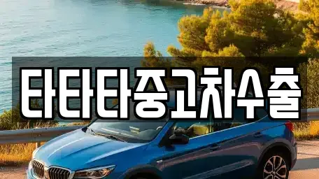 경기도 광주시 탄벌동 중고차 전문 타타타중고차수출