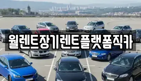 경기도 남양주시 다산동 장기렌트카 전문 월렌트장기렌트플랫폼직카