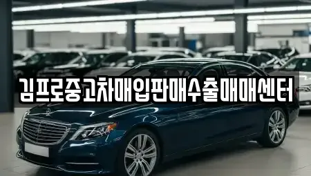 경기도 남양주시 다산동 중고차매입 전문 김프로중고차매입판매수출매매센터