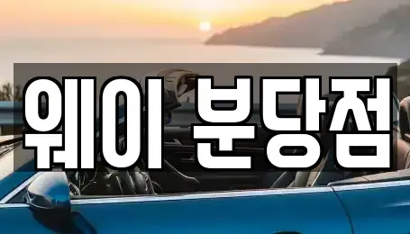 경기도 성남시 분당구 백현동 단기렌트카 전문 웨이 분당점