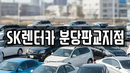 경기도 성남시 분당구 백현동 렌트카 전문 SK렌터카 분당판교지점