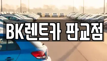 경기도 성남시 분당구 백현동 장기렌트카 전문 BK렌트카 판교점