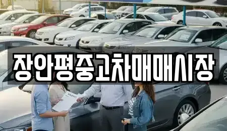 경기도 성남시 분당구 백현동 중고차매매 전문 장안평중고차매매시장