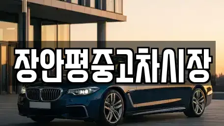 경기도 성남시 분당구 백현동 중고차매매 전문 장안평중고차시장
