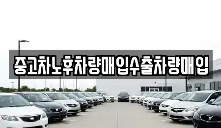 경기도 성남시 분당구 백현동 중고차매입 전문 중고차노후차량매입수출차량매입
