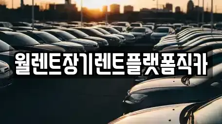 경기도 수원시 팔달구 지동 장기렌트카 전문 월렌트장기렌트플랫폼직카