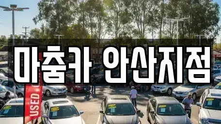 경기도 안산시 상록구 사동 단기렌트카 전문 마춤카 안산지점