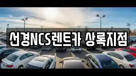 경기도 안산시 상록구 사동 렌트카 전문 선경NCS렌트카 상록지점