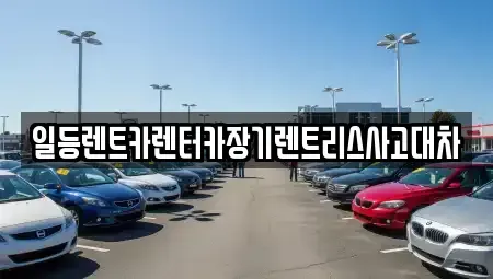 경기도 안산시 상록구 사동 장기렌트카 전문 일등렌트카렌터카장기렌트리스사고대차