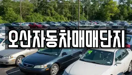 경기도 오산시 중고차 전문 오산자동차매매단지