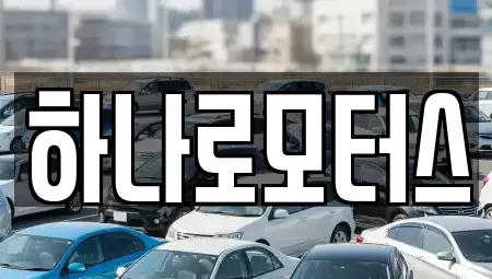 경기도 오산시 중고차 전문 하나로모터스