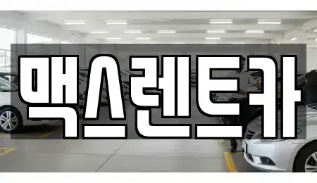 경기도 용인시 기흥구 언남동 렌트카 전문 맥스렌트카