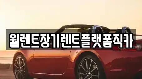 경기도 용인시 기흥구 언남동 장기렌트카 전문 월렌트장기렌트플랫폼직카