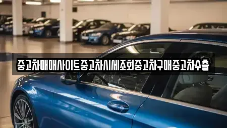 경기도 용인시 기흥구 언남동 중고차 전문 중고차매매사이트중고차시세조회중고차구매중고차수출