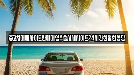 경기도 용인시 기흥구 언남동 중고차,렌트카,중고차매입,중고차매매,장기렌트카,단기렌트카