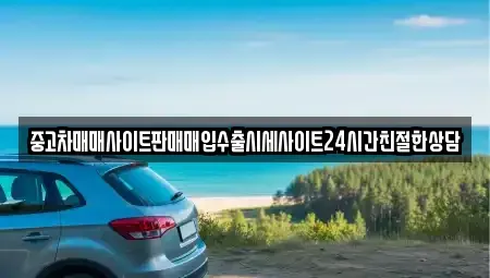 경기도 의왕시 초평동 중고차 전문 중고차매매사이트판매매입수출시세사이트24시간친절한상담