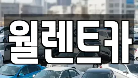 경기도 이천시 부발읍 렌트카 전문 월렌트카