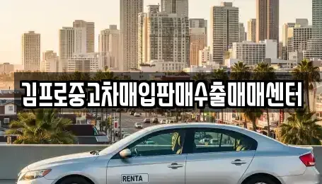 경기도 이천시 부발읍 중고차매입 전문 김프로중고차매입판매수출매매센터
