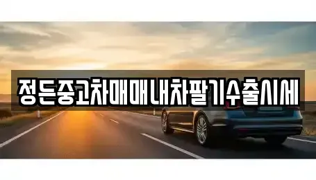 경기도 파주시 연다산동 중고차 전문 정든중고차매매내차팔기수출시세