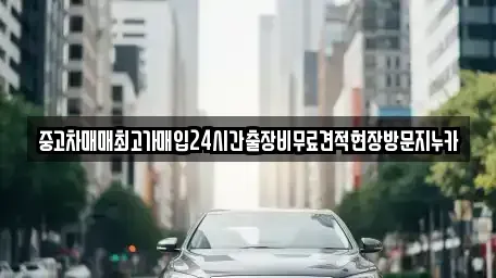 경기도 파주시 연다산동 중고차 전문 중고차매매최고가매입24시간출장비무료견적현장방문지누카