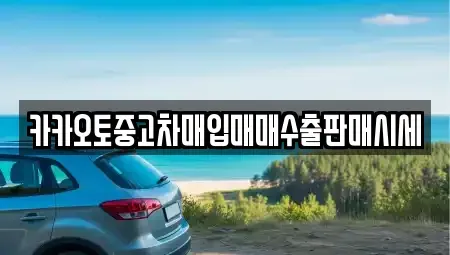 경기도 파주시 연다산동 중고차매입 전문 카카오토중고차매입매매수출판매시세