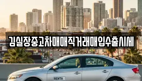 경기도 파주시 적성면 중고차 전문 김실장중고차매매직거래매입수출시세