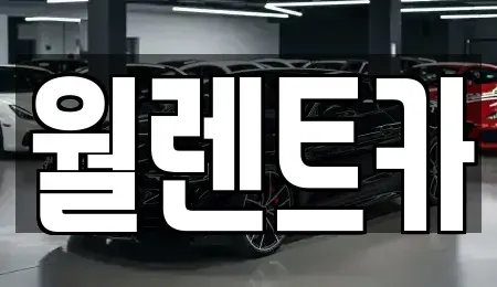 경기도 평택시 칠괴동 렌트카 전문 월렌트카