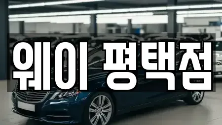 경기도 평택시 통복동 장기렌트카 전문 웨이 평택점